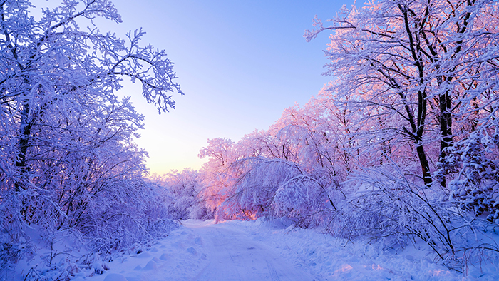 大顶子山玉树琼枝雪国天境饶美如画